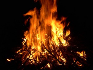 ognisko zdjęcie